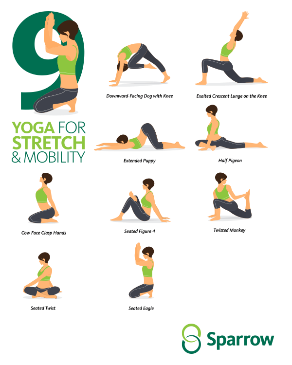Yoga for Stretch & Mobility, Q1 Email Newsletter 