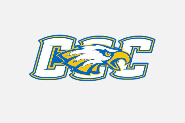 Carson City - Crystal High School Logo - Athletic Trainer 