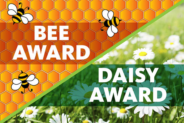 BEE & Daisy Awards for exceptional care